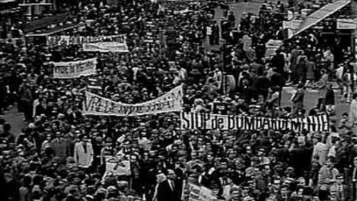Nederlands protest tegen de Vietnamoorlog